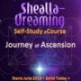 Shealla-Dreaming-Self-Study-Logo