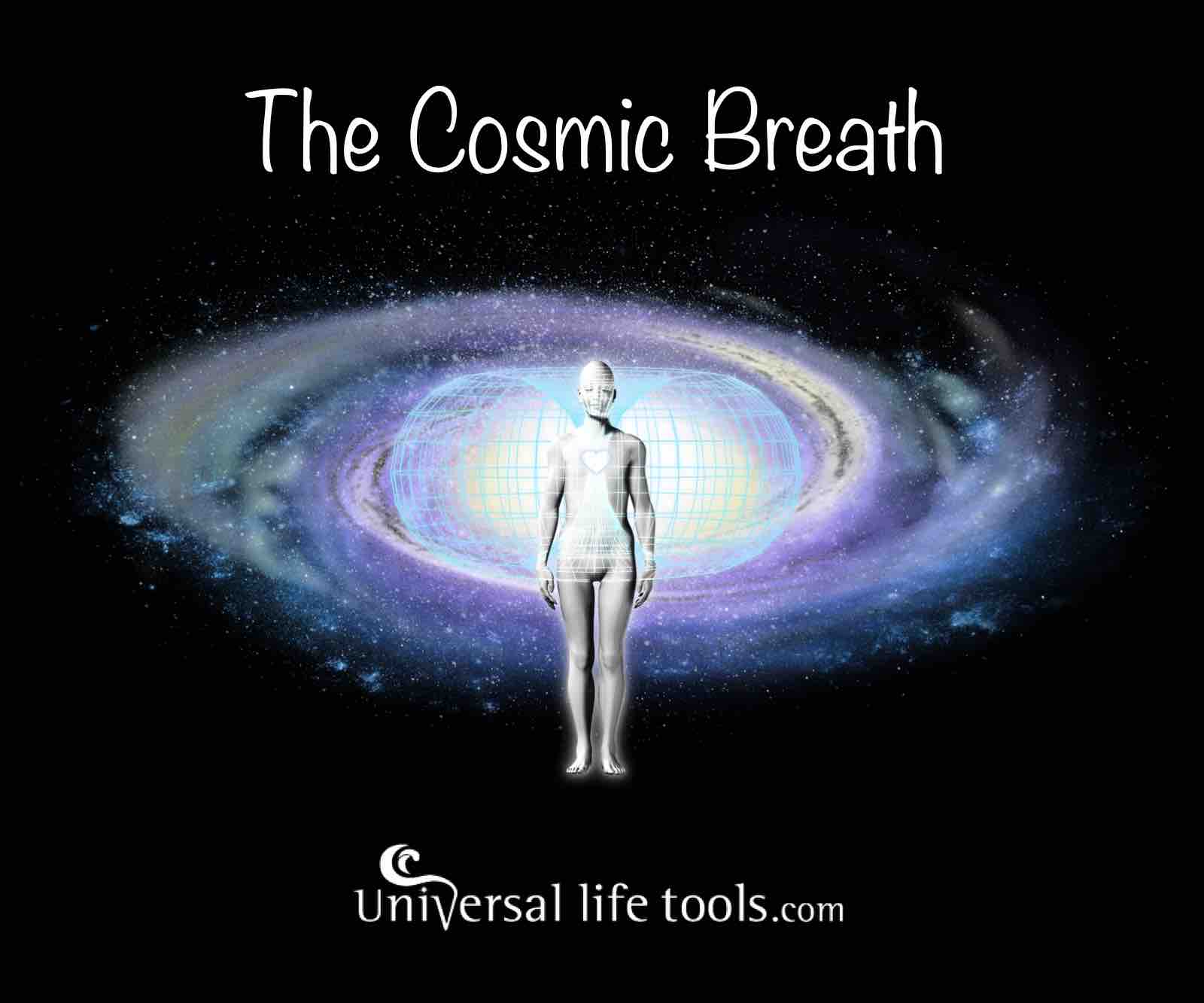 Article 3 Pineal GlandPrimordial Cells Communication Pathway