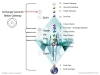 2 AAJM Stellar Gateway Lunar