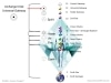 2 AAU Universal Gateway Solar