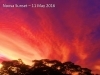 Noosa Sunset