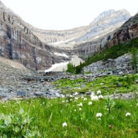 Rocky Mountains Canada release of BLESSED EARTH CRYSTAL