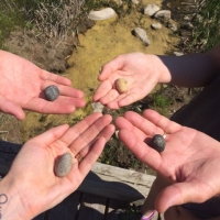Connecting with Sacred Ancient Wisdom & BLESSED EARTH CRYSTAL stones at Wanuskewin Provincial park