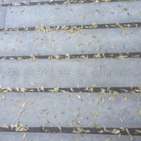 Montreal Royal Park Hill... we released BLESSED EARTH CRYSTALS by the John Lennon memorial installation of 'Give Peace a chance'
