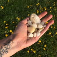 Natural Quartz fossicked and released back to the Earth in New York as part of our BLESSED EARTH CRYSTAL ceremonies