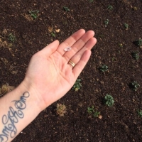 On Earth Day 2015 in New York we released BLESSED EARTH CRYSTAL