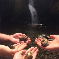 Held the power of the rocks from Oneonta Gorge (Washington State) USA... and released them into the waterfall to awaken compassion, kindness and caring in peoples hearts ♡