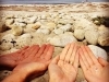 Blessed Earth Crystals California