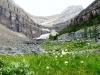 Rocky Mountains Canada release of BLESSED EARTH CRYSTAL