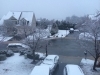 As the snow fell, BLESSED EARTH CRYSTAL was also released in Virginia.
