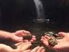 Held the power of the rocks from Oneonta Gorge (Washington State) USA... and released them into the waterfall to awaken compassion, kindness and caring in peoples hearts ♡