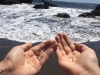 Released our BLESSED EARTH CRYSTALS on the coast line of Oregon, USA ♡