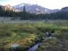 We walked through Panther Meadows (Mt Shasta) at sunrise and charged our BLESSED EARTH CRYSTALS ♡