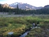 We walked through Panther Meadows (Mt Shasta) at sunrise and charged our BLESSED EARTH CRYSTALS ♡