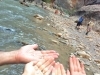 Releasing our BLESSED EARTH CRYSTALS at The Narrows, Zion National Park, Utah, USA