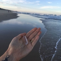 Australia - Marcus Beach - Earth Day