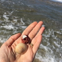 Australia - Peregian Beach - 2016