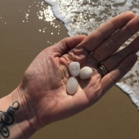 Australia - Sunshine Beach - 2016
