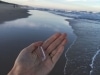 Australia - Marcus Beach - Earth Day