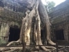 Blessed Earth Crystals - Cambodia