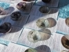 Crystal Light Healing - September 2012 - Noosa, Australia