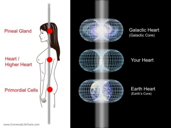 Heart-torroid-dan-tien