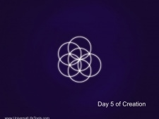 Day-5-Creation