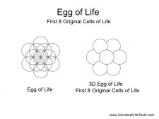 Egg-of-Life-3D