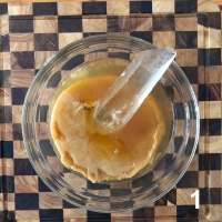 Kombucha Scoby 1