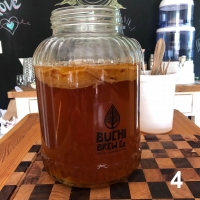 Kombucha Scoby 4