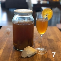 Kombucha Scoby 7