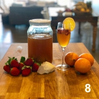 Kombucha Scoby 8