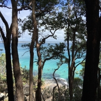 Heart Retreat - Sunshine Coast, Noosa - November 2017