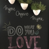 Heart Retreat - Sunshine Coast, Noosa - November 2017