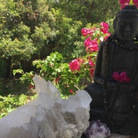 Heart Retreat - Sunshine Coast, Noosa - November 2017