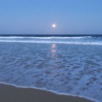 Heart Retreat - Sunshine Coast, Noosa - November 2017