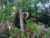 Heart Retreat - Sunshine Coast, Noosa - November 2017