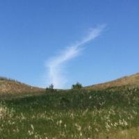 Cloud Feather