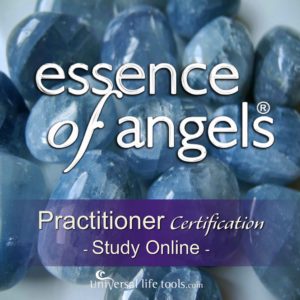 Essence of Angels eCourse clh lr