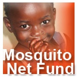 mosquito_LITA