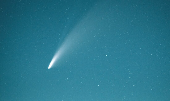 Comet 2013