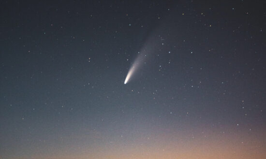 Comet 2013 2014