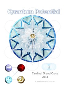 Cardinal_Grand_Cross_Symbol