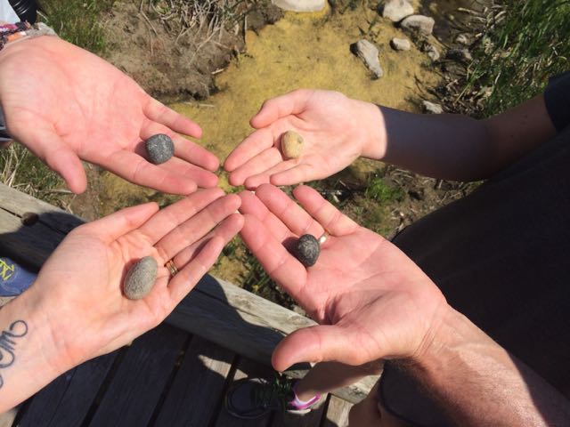 medicine wheel medicine wheel
