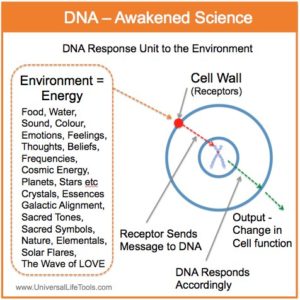Awakened Science