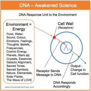 Awakened Science