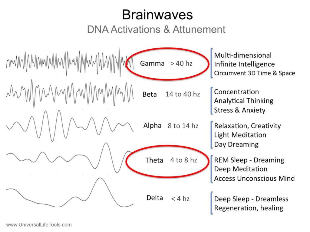 Brainwaves