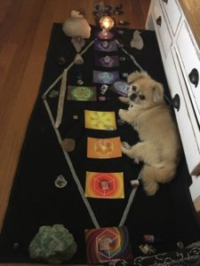 Crystal Light Healing Animals