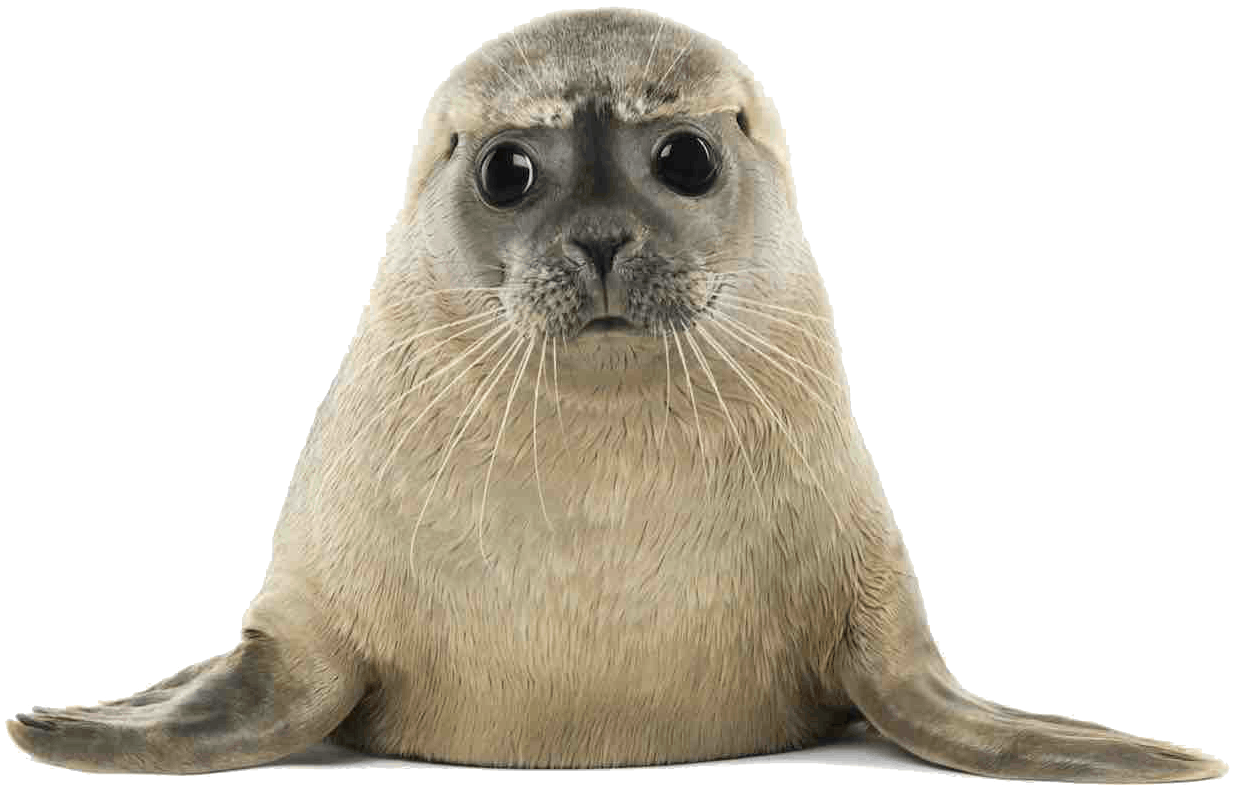 seal llr