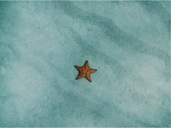 New Moon 16 Feb 2018